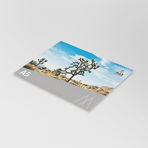 Postkarte DIN A5 | 2-seitig